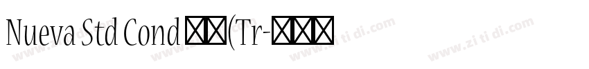 Nueva Std Cond 粗体(Tr字体转换